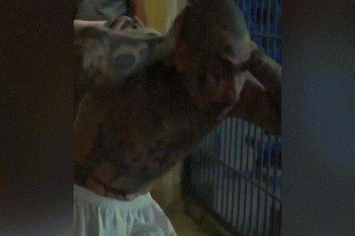 2.000 tù nhân đầu tiên bị đưa vào siêu nhà tù lớn nhất châu Mỹ