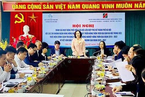 Tín dụng cho hội viên, phụ nữ phát triển nông nghiệp: Cần xem xét giảm lãi vay