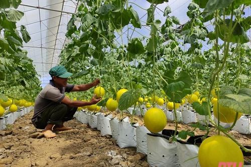 Đóng góp ý kiến cho dự thảo Luật Đất đai (sửa đổi): Điều chỉnh hợp lý thời điểm tính thu tiền sử dụng đất, tiền thuê đất