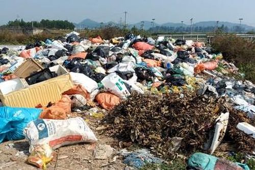Nghệ An: Bãi rác tự phát gây ô nhiễm môi trường trên bờ kênh Vách Bắc