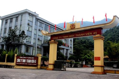 Công ty 45 - Chi nhánh Tổng công ty Đông Bắc đã thách thức pháp luật, hủy hoại môi trường như thế nào?