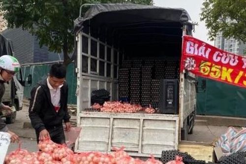 Phòng chống dịch cúm A/H5N1: Nói không với trứng gia cầm được bán tràn lan với danh nghĩa 'giải cứu'