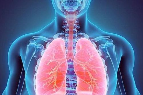 Nấm phổi - Căn bệnh nguy hiểm diễn tiến thầm lặng