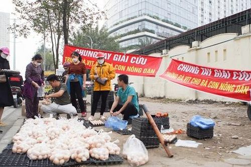Vì sao đề nghị không nên mua trứng gà 'giải cứu'?
