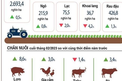 Tổng quan kinh tế Việt Nam tháng Hai và 2 tháng năm 2023