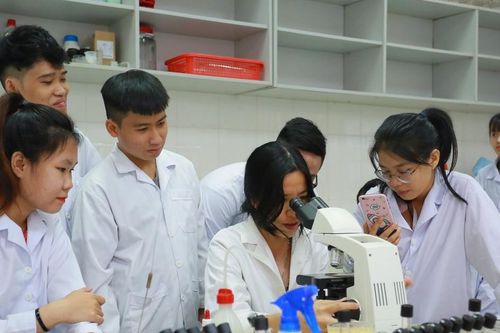 Trường đại học 'chạy đua' xếp hạng