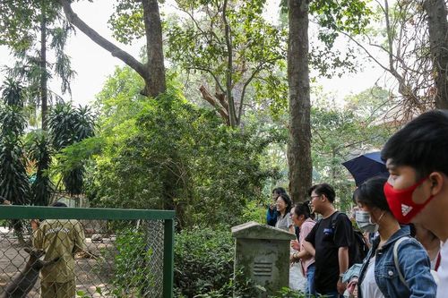 Bạn trẻ rủ nhau thăm Thảo cầm viên