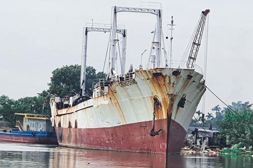 Cần làm rõ vai trò người mua và 'xẻ thịt' tàu bán sắt vụn ở Hải Phòng