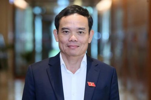 Phó Thủ tướng Chính phủ Trần Lưu Quang thăm chính thức Tây Ban Nha