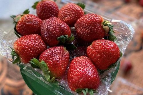 Đặc sản Sơn La 'nhuộm đỏ' thị trường trái cây Hà Nội
