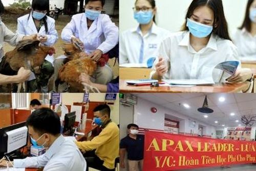Nóng 18h: Bộ Y tế ra công điện 'khẩn' về phòng, chống cúm A(H5N1)