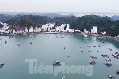 Hai lần đấu giá bất thành tài sản làm dự án du lịch cao cấp ở Cát Bà