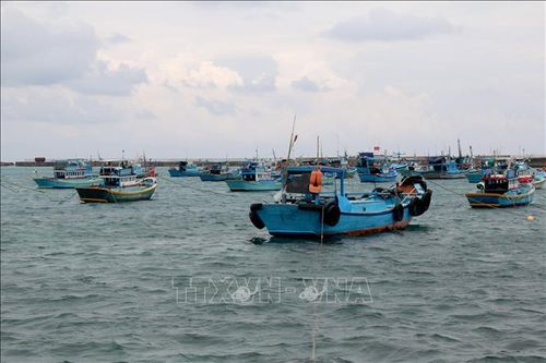 Hỗ trợ các tàu cá cạn kiệt lương thực khi đánh bắt hải sản