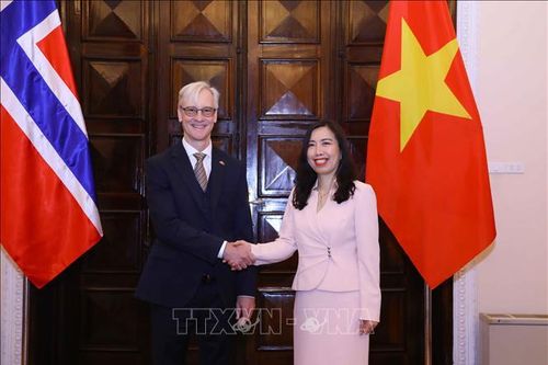 Tham vấn Chính trị Việt Nam - Na Uy lần thứ 9