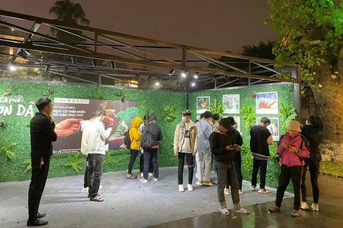 Đà Lạt triển khai mô hình Cà phê Sơn dã bảo vệ động vật hoang dã