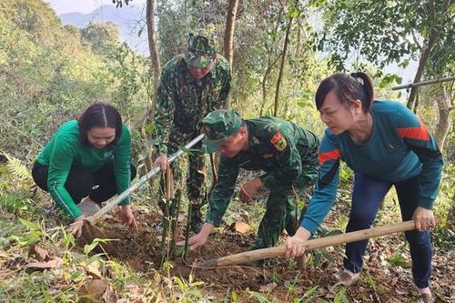 Lạng Sơn: Tặng 1.200 cây tre cho các gia đình thực hiện mô hình 'Lũy tre biên giới Việt'