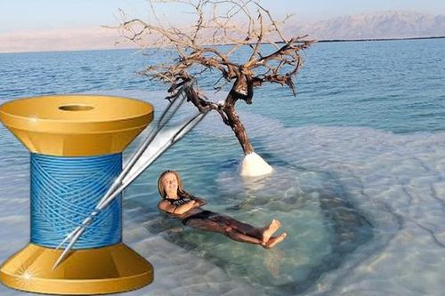 Sếp hỏi 'Kim rơi xuống biển, làm sao để mò lên?', nữ ứng viên trả lời thuyết phục