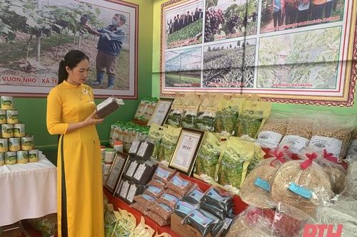'Nhìn lại 2 năm thực hiện Chương trình Xây dựng Nông thôn mới' (Bài 4): Nông Cống xây dựng sản phẩm lúa gạo đạt tiêu chuẩn OCOP