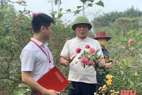 Tăng cường kênh dẫn vốn phục vụ phát triển nông nghiệp, nông thôn