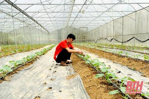 Lan tỏa những điển hình sản xuất giỏi ở khu vực miền núi