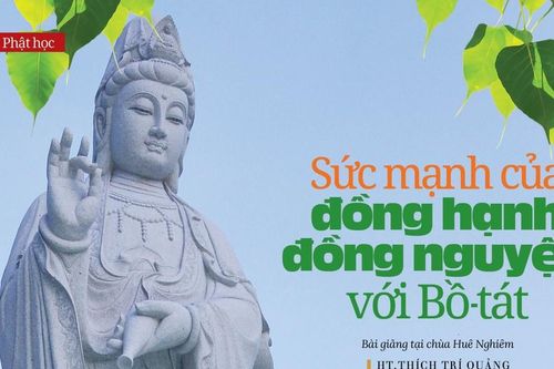 Sức mạnh của đồng hạnh đồng nguyện với Bồ-tát