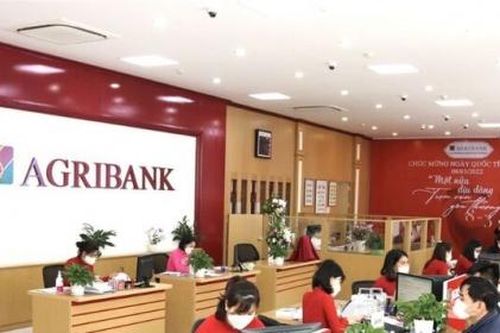 Agribank rao bán hàng loạt lô đất nông nghiệp tại Tp.HCM để xử lý nợ