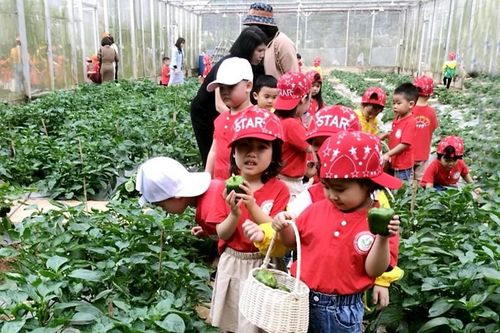 Lào Cai: Trường Mầm non Bắc Cường phấn đấu 'Xây dựng trường học hạnh phúc'