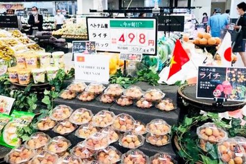 Nông sản của HTX 'khai phá' thị trường Nhật Bản