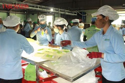 Xuất khẩu ngành hàng chủ lực cần thêm 'liều thuốc' hỗ trợ