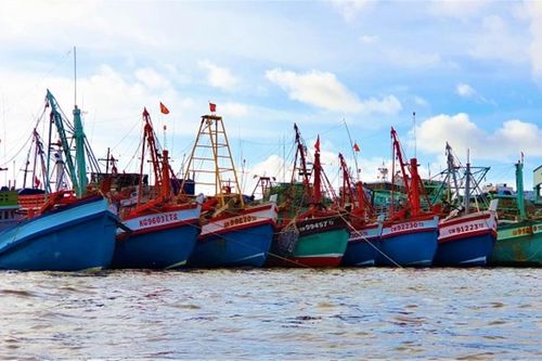 Cà Mau hướng đến xuất khẩu thủy sản đạt 5,6 tỷ USD giai đoạn 2021 - 2025