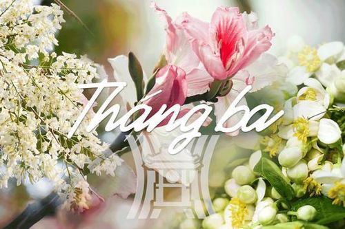 Hương sắc hoa tháng Ba Hà Nội