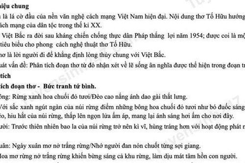 Gợi ý đáp án 9 đề thi tham khảo Kỳ thi tốt nghiệp trung học phổ thông 2023