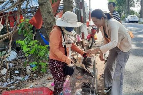 Kỳ 2: Những người 'nặng nợ' chim, cò