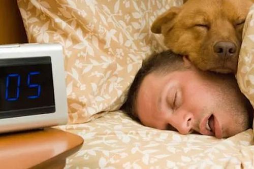 Con người có thể cần ngủ nhiều hơn vào mùa đông