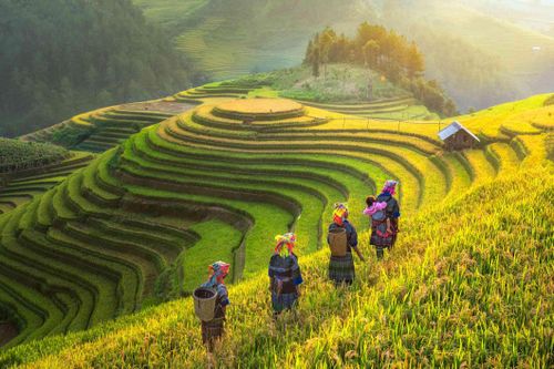 Nhiều hoạt động tại Lễ hội năm mùa thị xã Sa Pa năm 2023