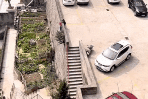 Cứu bạn ngã khỏi vách tường