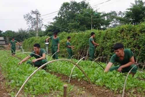 '5 không' ở Trung đoàn 335
