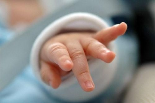 Kinh hãi chó hoang xông vào bệnh viện 'bắt cóc' trẻ sơ sinh