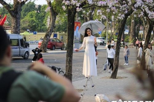 Thợ ảnh kiếm tiền triệu mỗi ngày nhờ mùa hoa nở