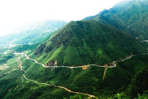 Phó Thủ tướng chỉ đạo về dự án hầm đường bộ qua đèo Hoàng Liên