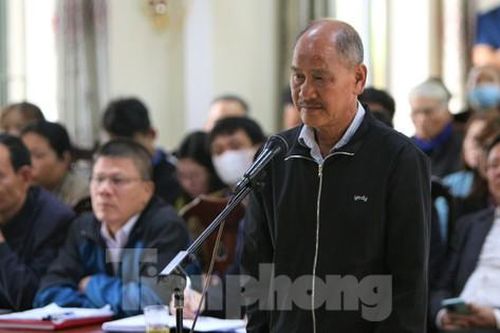 Lĩnh án tù và phải bồi thường hơn 1 tỷ đồng vì phá rừng phòng hộ