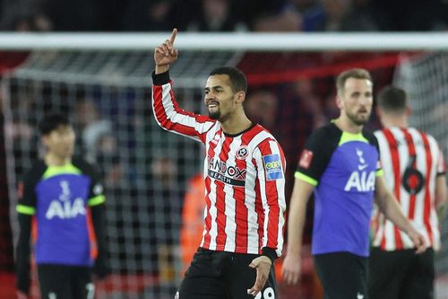 Tottenham bị hất cẳng khỏi FA Cup