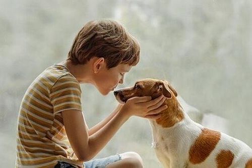 Người nuôi chó cần làm gì để phòng nguy cơ lây nhiễm sán?