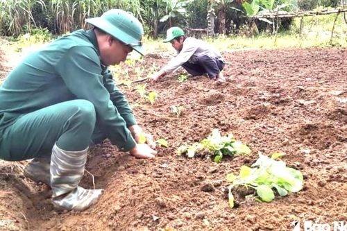 Bạn đồng hành xóa nghèo của người dân biên giới Hạnh Dịch