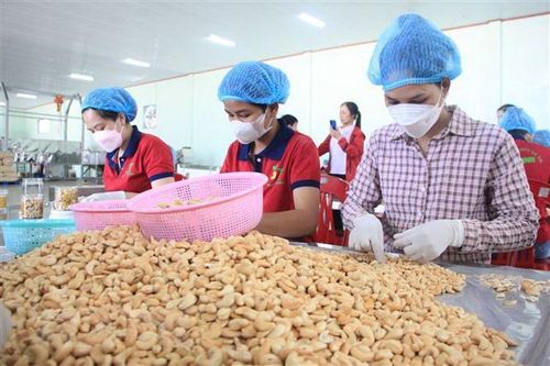 Bình Phước: Xuất khẩu tăng trưởng ấn tượng trong 2 tháng đầu năm