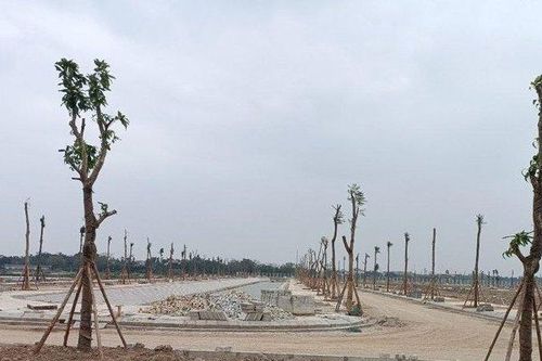 Khu đô thị TEELhomes Tràng An - Dự án trọng điểm nằm ngay huyết mạch nối cao tốc Cầu Giẽ - Ninh Bình với cao tốc Hà Nội - Hải Phòng