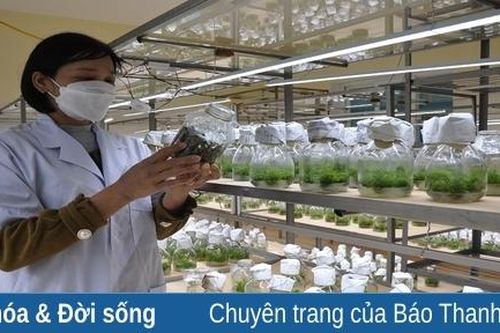 Viện Nông nghiệp Thanh Hóa đẩy mạnh ứng dụng khoa học công nghệ