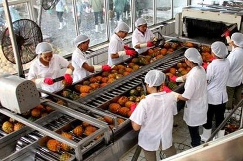 Công ty cổ phần Chiếu xạ An Phú truy thu 709 triệu đồng tiền thuế