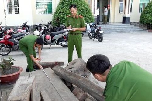 An Giang: Tạm giữ nhiều khúc gỗ quý nghi vấn nhập lậu tại khu vực biên giới