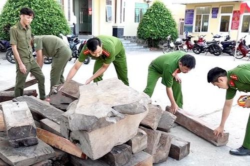Phát hiện điểm tập kết gỗ nghi vấn nhập lậu tại khu vực biên giới